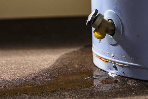 Best Professional water damage repair  in Little Flock, AR