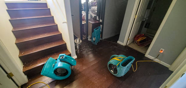 Best Water damage contractors near me  in Little Flock, AR