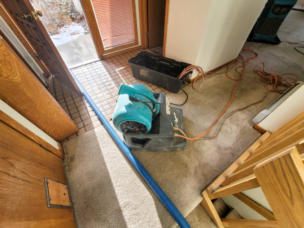Best Flood damage cleanup  in Little Flock, AR