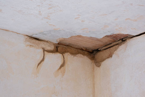  Little Flock, AR Water damage restoration Pros
