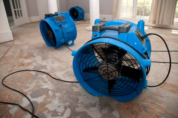 Best Water damage restoration near me  in Little Flock, AR