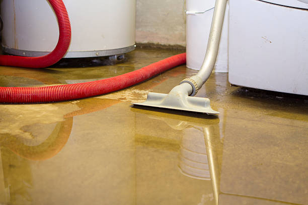 Best Emergency water damage restoration  in Little Flock, AR