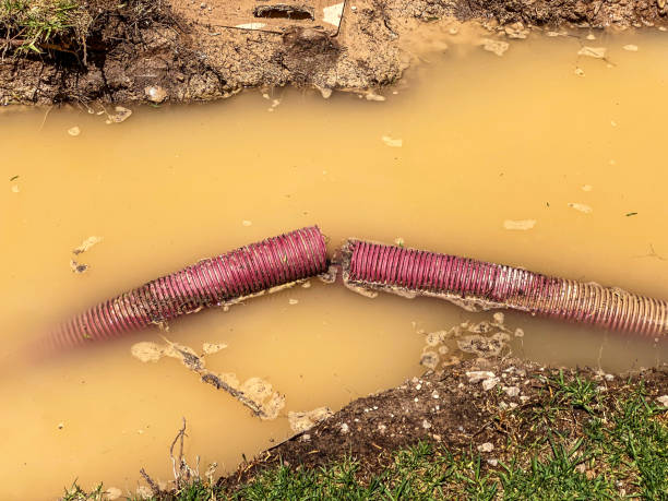 Water damage restoration insurance claims in Little Flock, AR